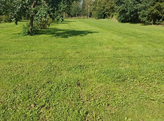 Кемпинг Pori-kortsi Talu Nasja